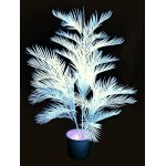 UV-aktive Pflanzen