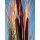 EUROPALMS Schilfgras mit Kolben, künstlich, hellbraun, 152cm