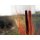 EUROPALMS Schilfgras mit Kolben, künstlich, hellbraun, 152cm