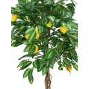 EUROPALMS Zitronenbaum, Kunstpflanze, 180cm