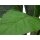 EUROPALMS Mangoldbusch, künstlich,  45cm