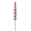 EUROPALMS Kristalleukalyptus, Kunstpflanze, burgund, 81cm...