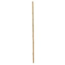 EUROPALMS Bambusrohr, Ø=3cm, 200cm