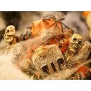 EUROPALMS Halloween Spinnennetz weiß 50g