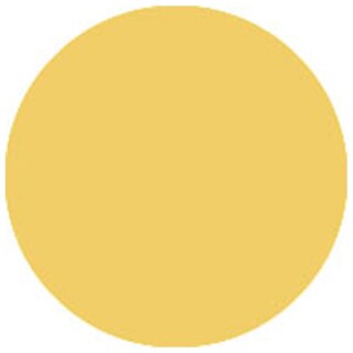Showtec - Colour Sheet 122 x 53 cm 152 Blasses Gold