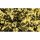 Showtec - Show Confetti Metal Gold, rechteckig, 1kg, feuerfest