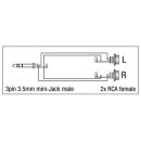 DAP - XGA17 - Mini Jack/M stereo > 2 x RCA/F