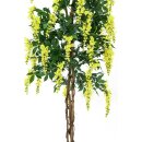 EUROPALMS Goldregenbaum, Kunstpflanze, gelb, 150cm