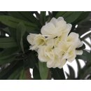 EUROPALMS Oleanderbaum, Kunstpflanze, weiß, 120 cm