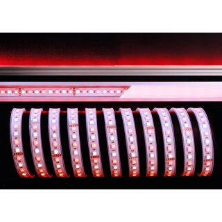 Deko-Light Flexibler LED Stripe 24V SMD 5050 RGB+2800K 5m