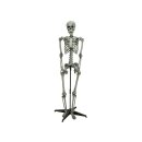 EUROPALMS Halloween Skelett stehend, 160cm