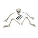 EUROPALMS Halloween Skelett, mehrteilig