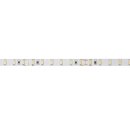 Artecta - Havana Ribbon 6000K 75-24V 5 m 5730 LED 1725-2105 lm/m