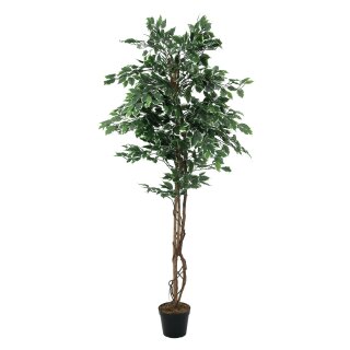 EUROPALMS Spiralbaum, Kunstpflanze, 61cm