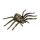 EUROPALMS Halloween Spinne, gold