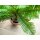 EUROPALMS Cycas Palme, Kunstpflanze, 70cm
