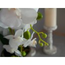 EUROPALMS Orchidee, Kunstpflanze, weiß, 80cm
