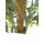 EUROPALMS Fishtail-Palmbaum, Kunstpflanze, 305cm