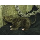 EUROPALMS Ratte, lebensecht mit Fell 30cm