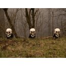 EUROPALMS Halloween Totenköpfe mit Erdspieß, 3er-Set, 29cm