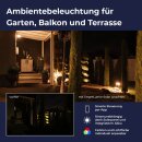 LedDoo SmartLumin Wandleuchte PYRA WL-1