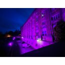 IRIDIUM LED Floodlight 200W LEDs purple 120° IP65