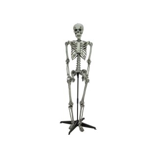 EUROPALMS Halloween Skelett stehend, 160cm - Vorführware