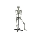 EUROPALMS Halloween Skelett stehend, 160cm -...