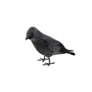 EUROPALMS Halloween Rabe, 18cm