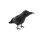 EUROPALMS Halloween Rabe, 18cm